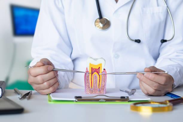 Best Emergency Root Canal Therapy in , ME